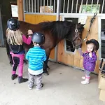 Biobauernhof Tonimoertl *