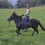 Vakantieboerderij Biobauernhof Tonimoertl *