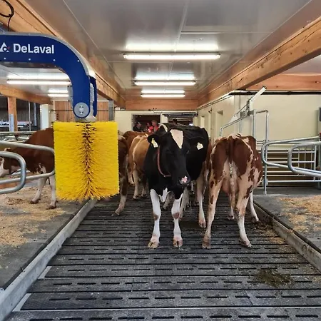 Biobauernhof Tonimoertl * Mariapfarr