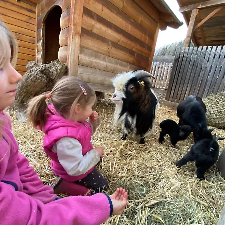 Biobauernhof Tonimortl Farm stay