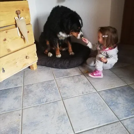 Biobauernhof Tonimoertl *