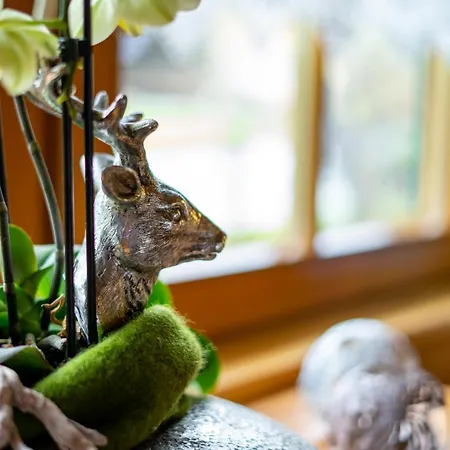 Biobauernhof Tonimoertl Mariapfarr