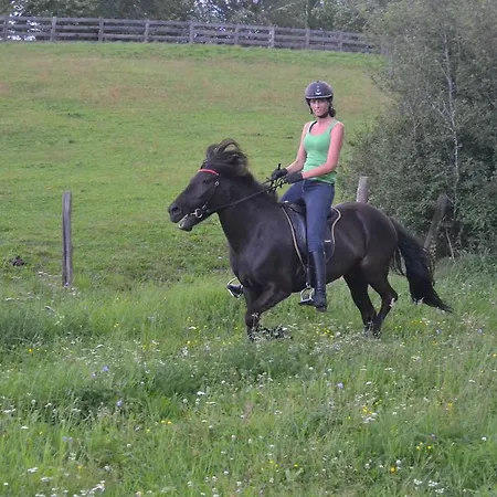 팜스테이 Biobauernhof Tonimoertl