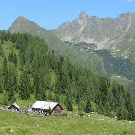 Farma Biobauernhof Tonimoertl Mariapfarr