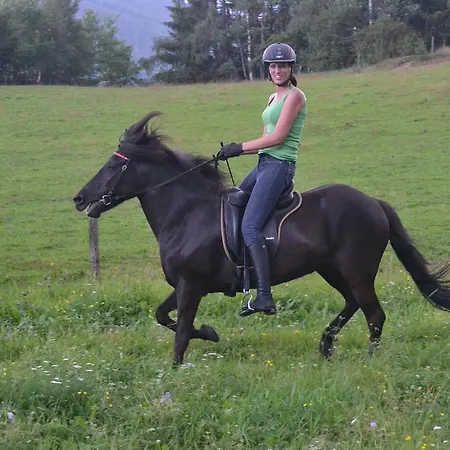 팜스테이 Biobauernhof Tonimoertl *